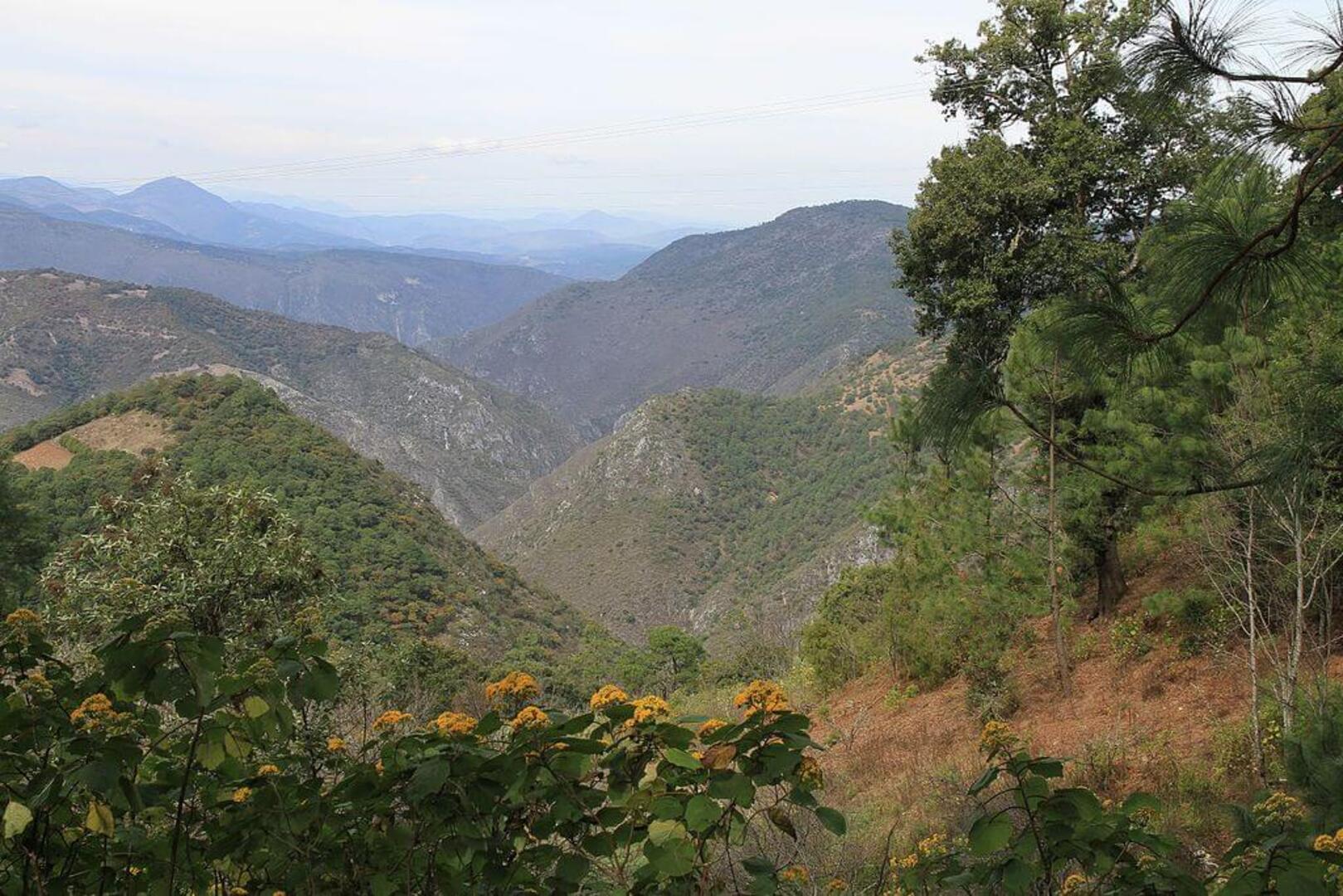 Cerro de la Silla Trail